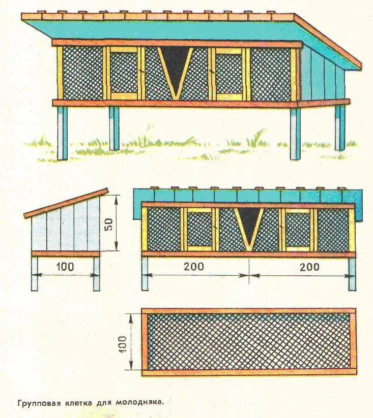 Клетки для кроликов великанов с маточником. Крольчатник вольерный. Кроличья клетка с маточником. Кроличьи клетки Золотухина. Фото чертежей клеток для кроликов