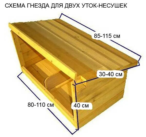 Гнездо для уток Размеры. Размер гнезда для утки. Гнезда для несушек. Гнезда для индоуток.