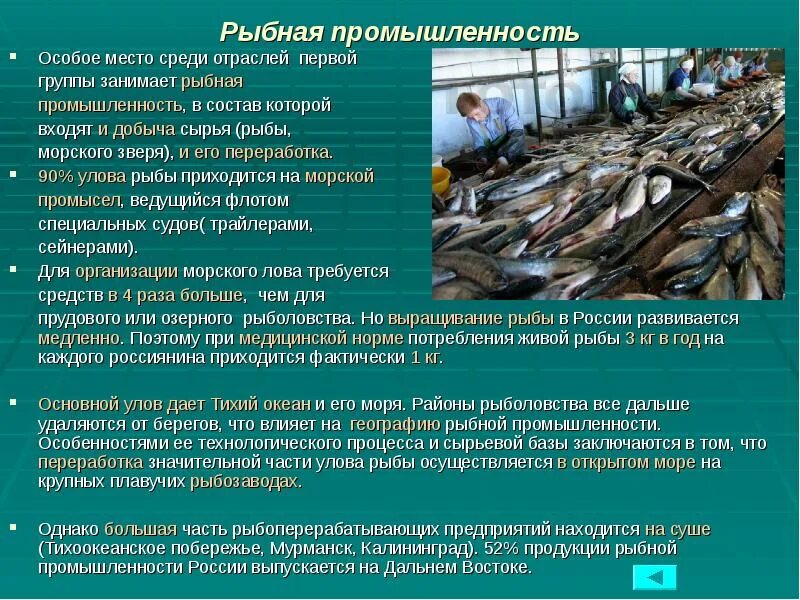 Сохранение морских ресурсов