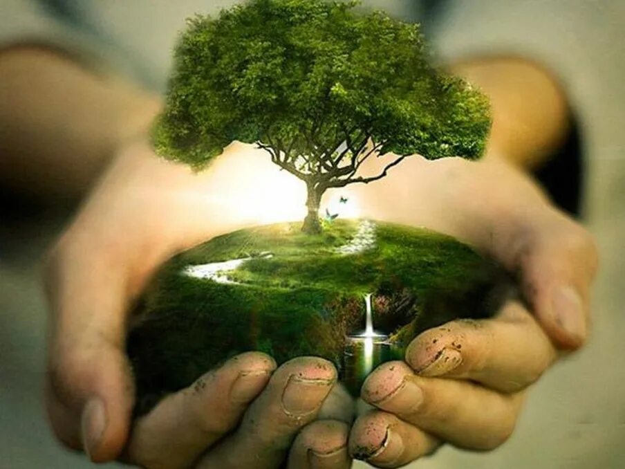 Дерево в руках. Человек и природа. Человечество и природа. Дерево жизни.