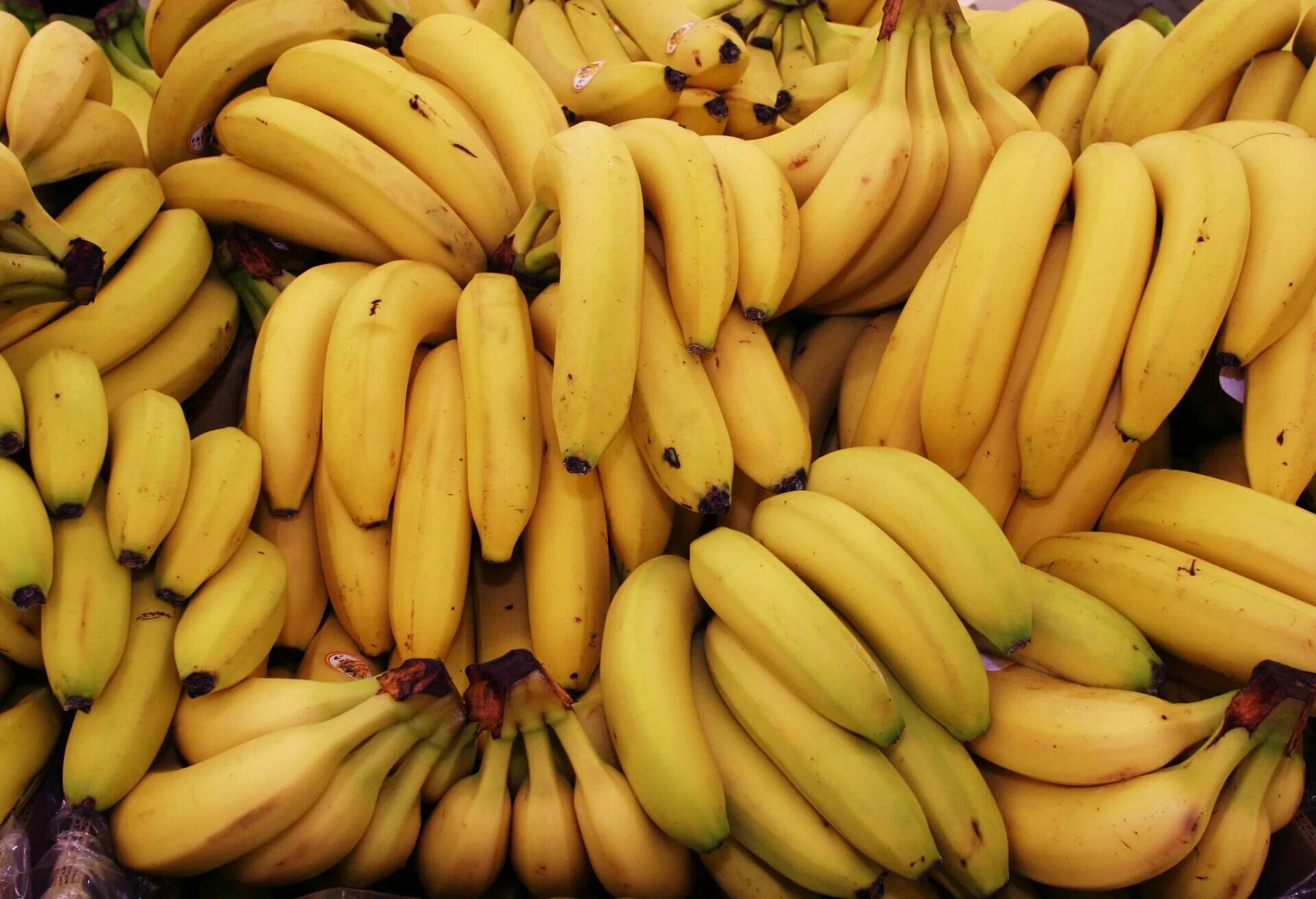 Связка бананов. Банан картинка. Фото бананов. Куча бананов.