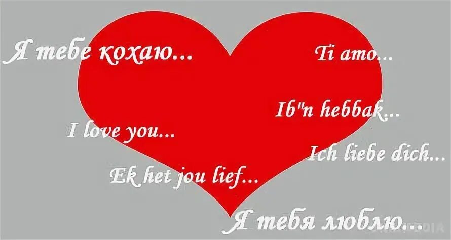 Как переводится кохала. Я тебе кохаю. Я тебе кохаю картинки. Я тебя люблю на украинском. Я тебе кохаю я тебя люблю.