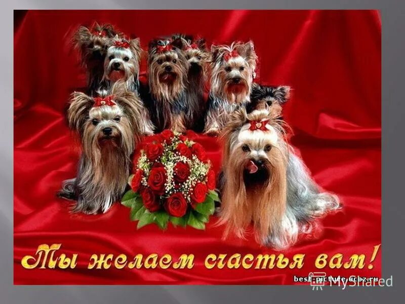 Мы желаем вам чтобы был праздник. Поздравление воспитателю детского сада. Открытки с ромашками. Поздравления на каждый день. Счастливое детство рисунок.