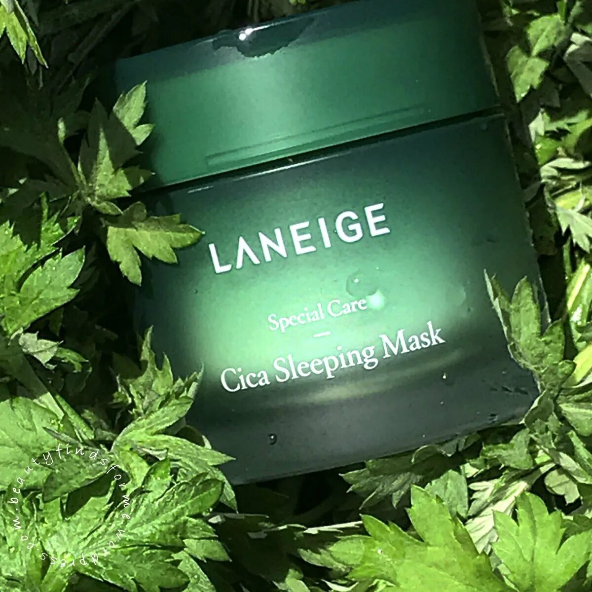 Laneige cica sleeping Mask 60ml. Laneige маска ночная восстанавливающая cica sleeping Pack. Ночная маска LR. Tea Tree sleeping Mask.