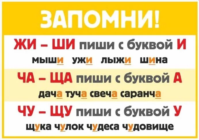 Какие жи ши