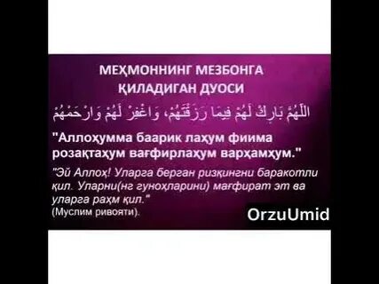 Duolari kursi