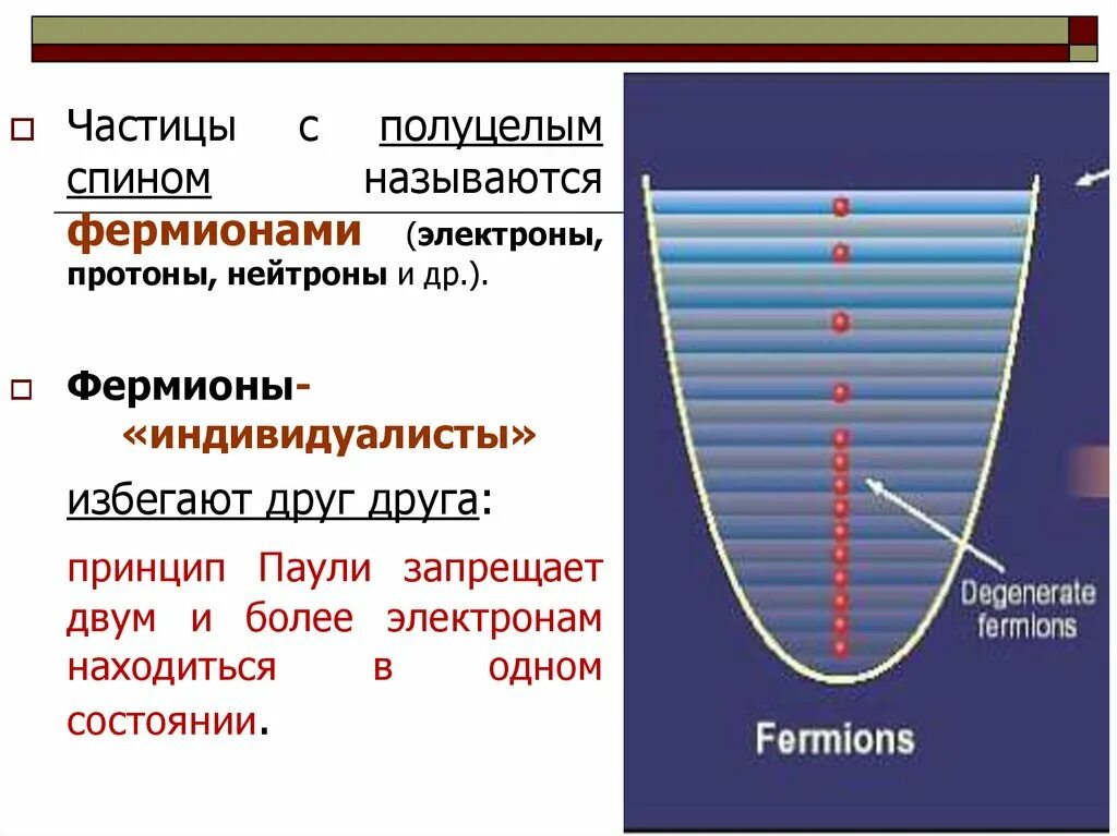Фундаментальные фермионы. Фермионы это простыми словами. Фермионы это частицы с. Характеристика элементарных частиц. Классификация элементарных частиц фермионы и бозоны.