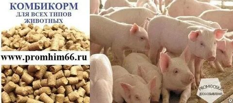 Форум комбикормов