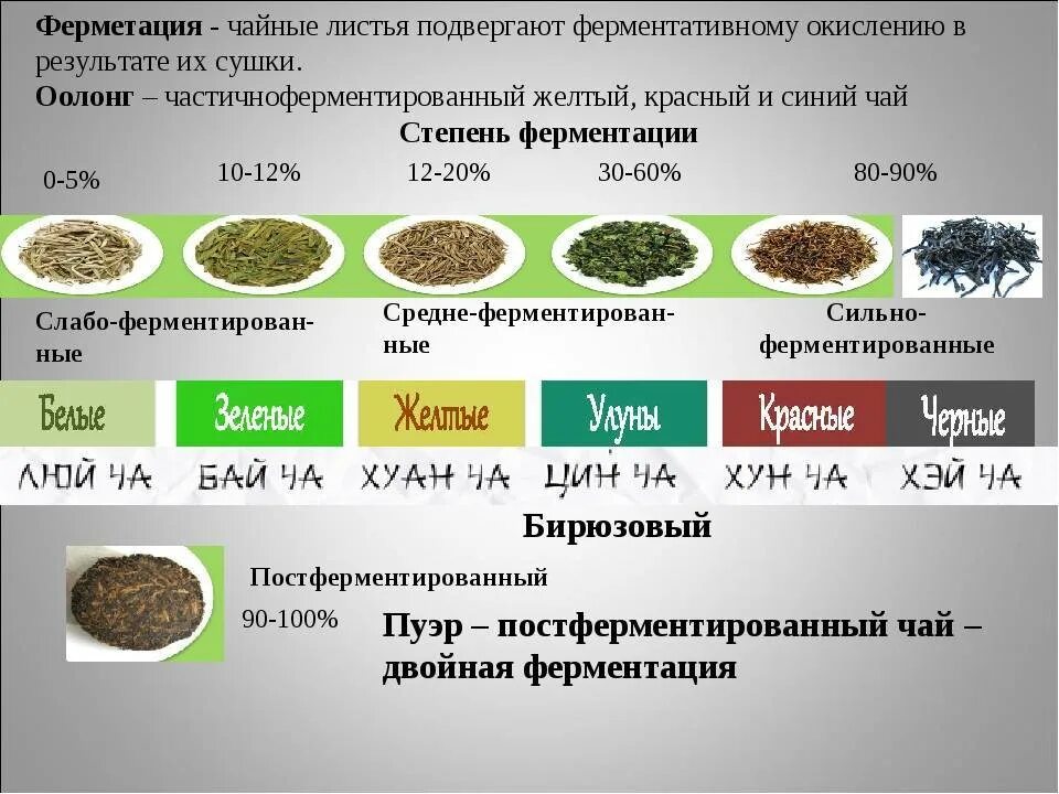 Сколько сортов зеленого чая. Степень ферментации зеленого чая. Классификация чая по степени ферментации. Ферментация китайского чая. Классификация китайских чаев по ферментации.