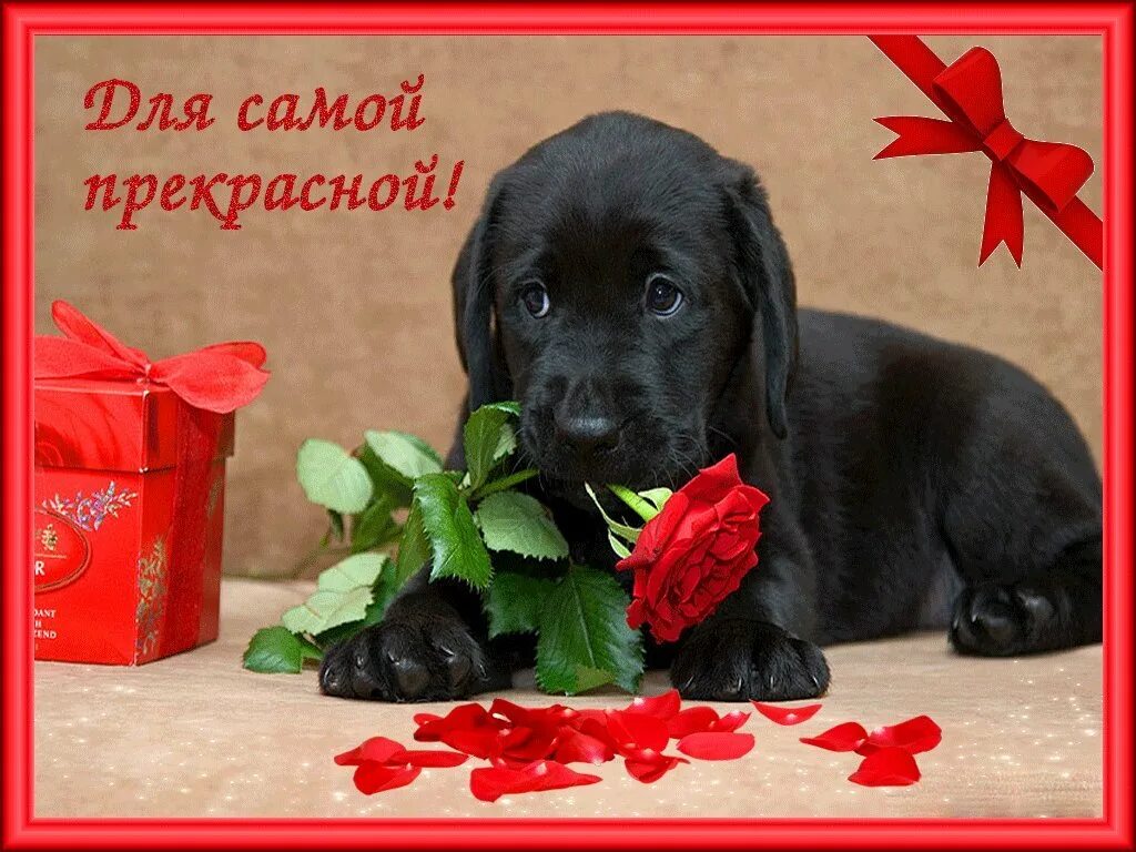 Ты самая красивая. Открытка самой красивой девушке. Самой прекрасной. Самой прекрасной девушке. Открытки для самой самой самой.