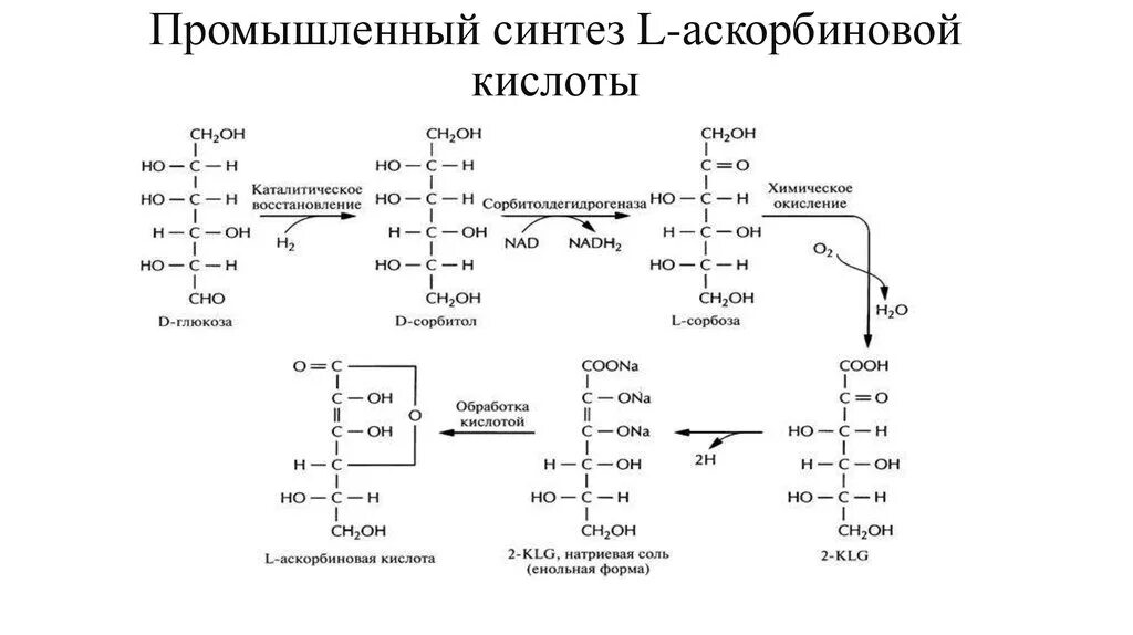 Биосинтез витаминов. Схема получения аскорбиновой кислоты. Химическая схема производства аскорбиновой кислоты. Синтез аскорбиновой кислоты реакции. Технологическая схема получения аскорбиновой кислоты.