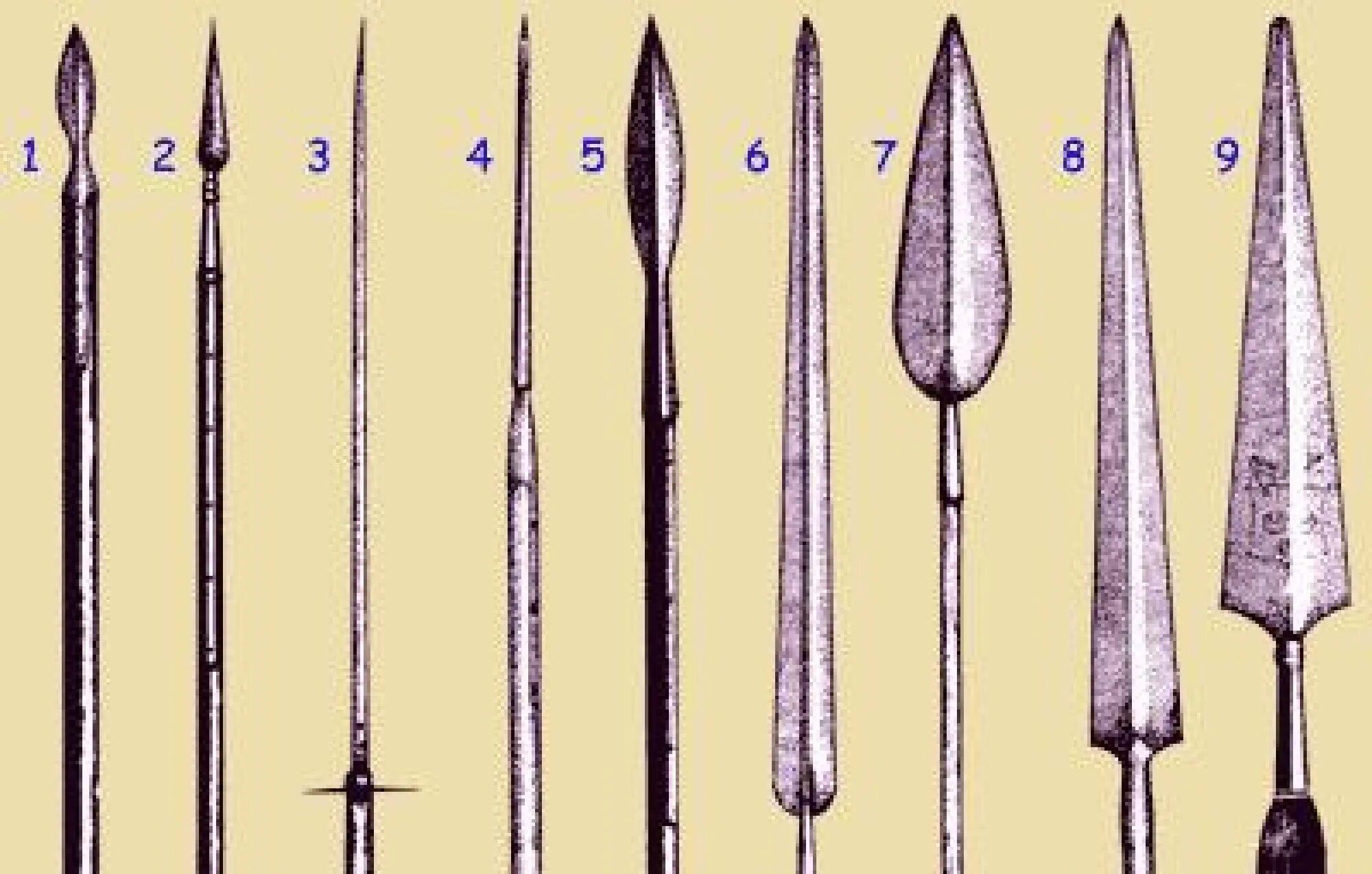 Пика древковое оружие. Пика пикинера. Копье пика 16 века на Руси. Шиловидная пика.