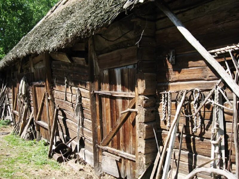 Сарай в деревне. Деревенский бревенчатый сарай. Старый сарай в деревне. Сарай в селе. Зимний каретник