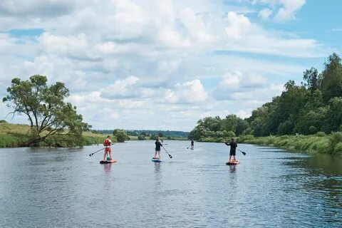 Вода в москве реке звенигород