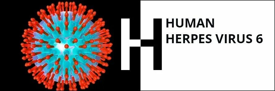 Вирус герпеса человека 6. Герпетический вирус шестого типа. Вирус герпеса 6 типа фото. Human herpes