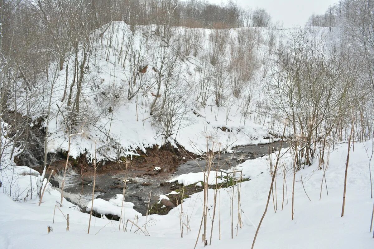 Погода в волоте новгородской области на 10. Бортник Новгородская область водопад. Деревня Зихново Боровичский район. Дер Зихново Новгородская область. Водопад на р Чалпа в Боровичском районе.