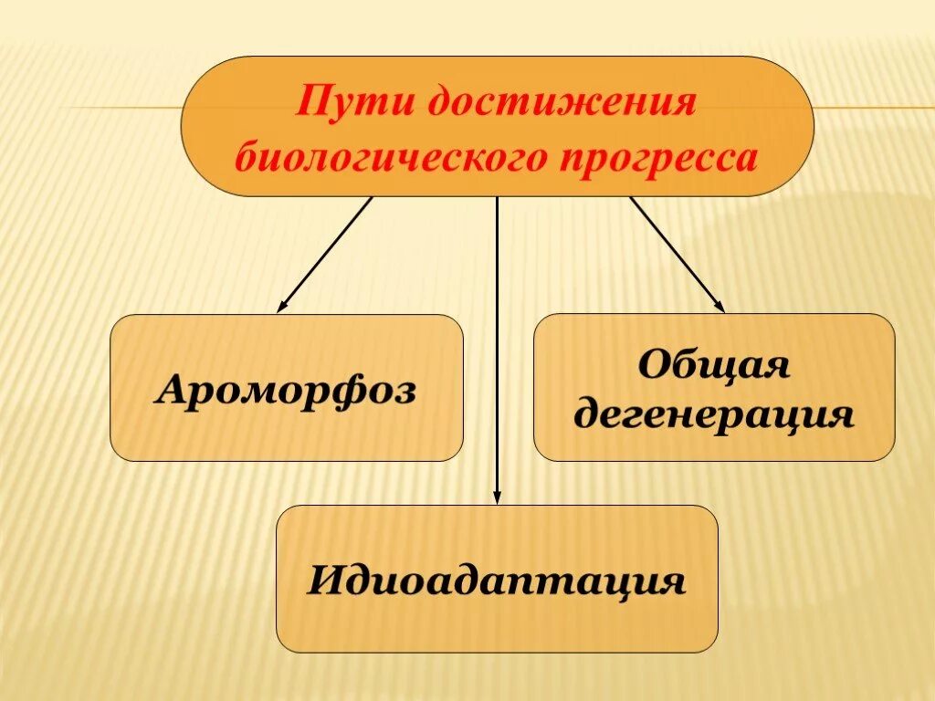 Каковы пути достижения биологического прогресса