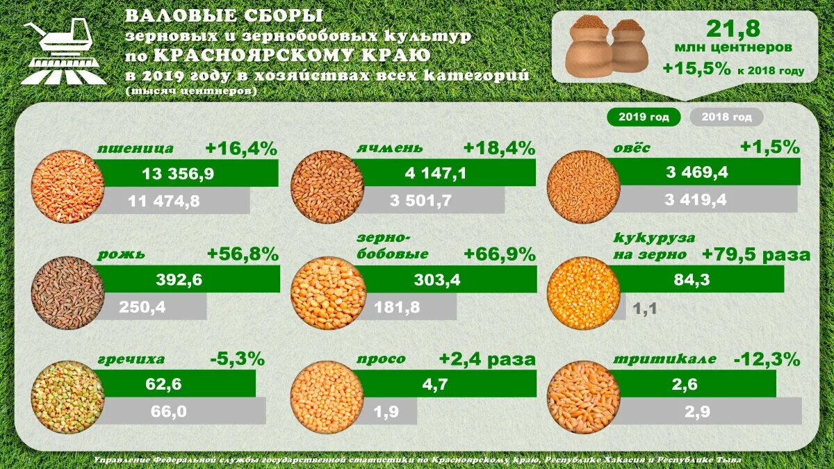 Зерновые и зернобобовые культуры. Урожайность зерна. Производство зерна. Урожайность зерновых культур.