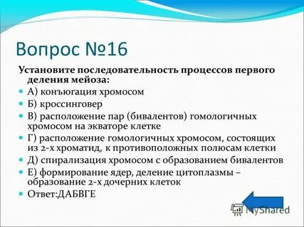 Установите последовательность в первом деление