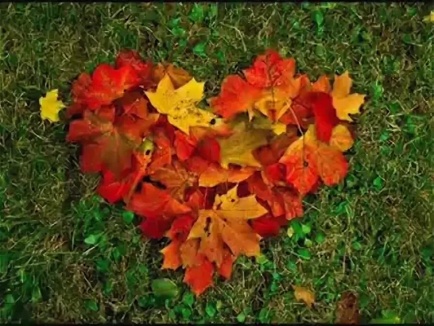 листья желтые кружатся минус. листья жёлтые над городом кружатся. листья желтые кружатся минус. листья желтые кружатся минус. листья жёлтые над городом кружатся.