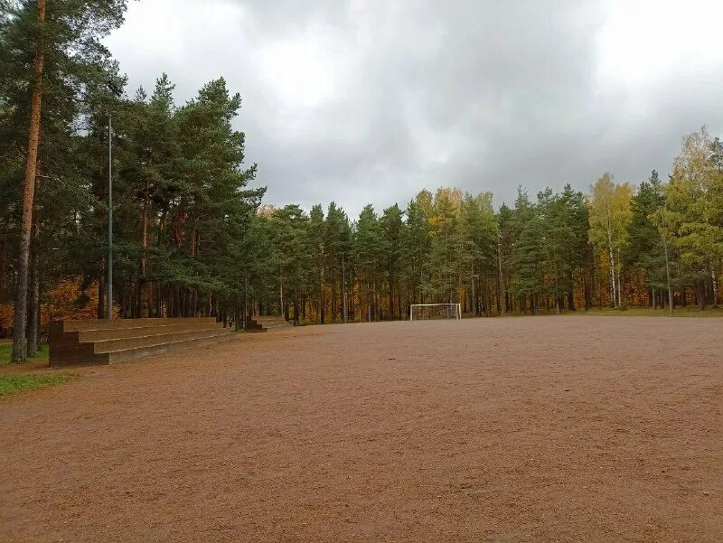 заельцовский парк новосибирск. парк сосновка петербург. парк сосновка в санкт-петербурге. остров сокровищ березовский. город сосновка.