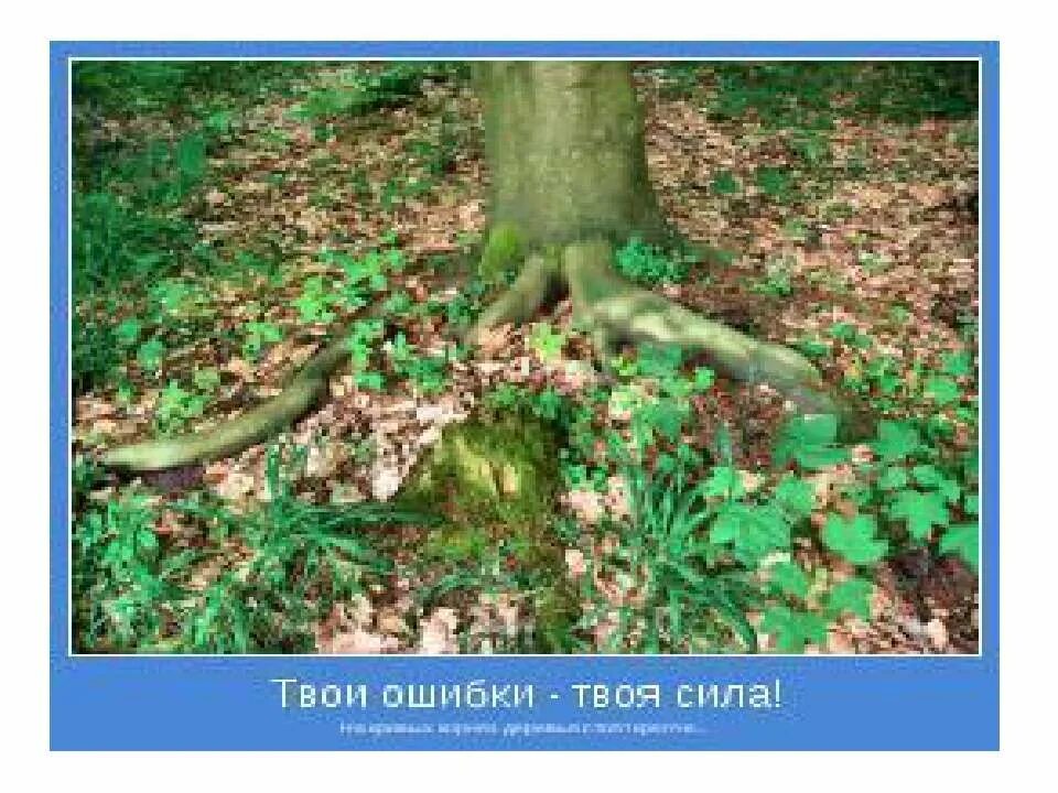 Сила голоса истощающаяся. На кривых корнях деревья крепче. Сила ошибка. Сила голоса гипноз. Сила ошибка.