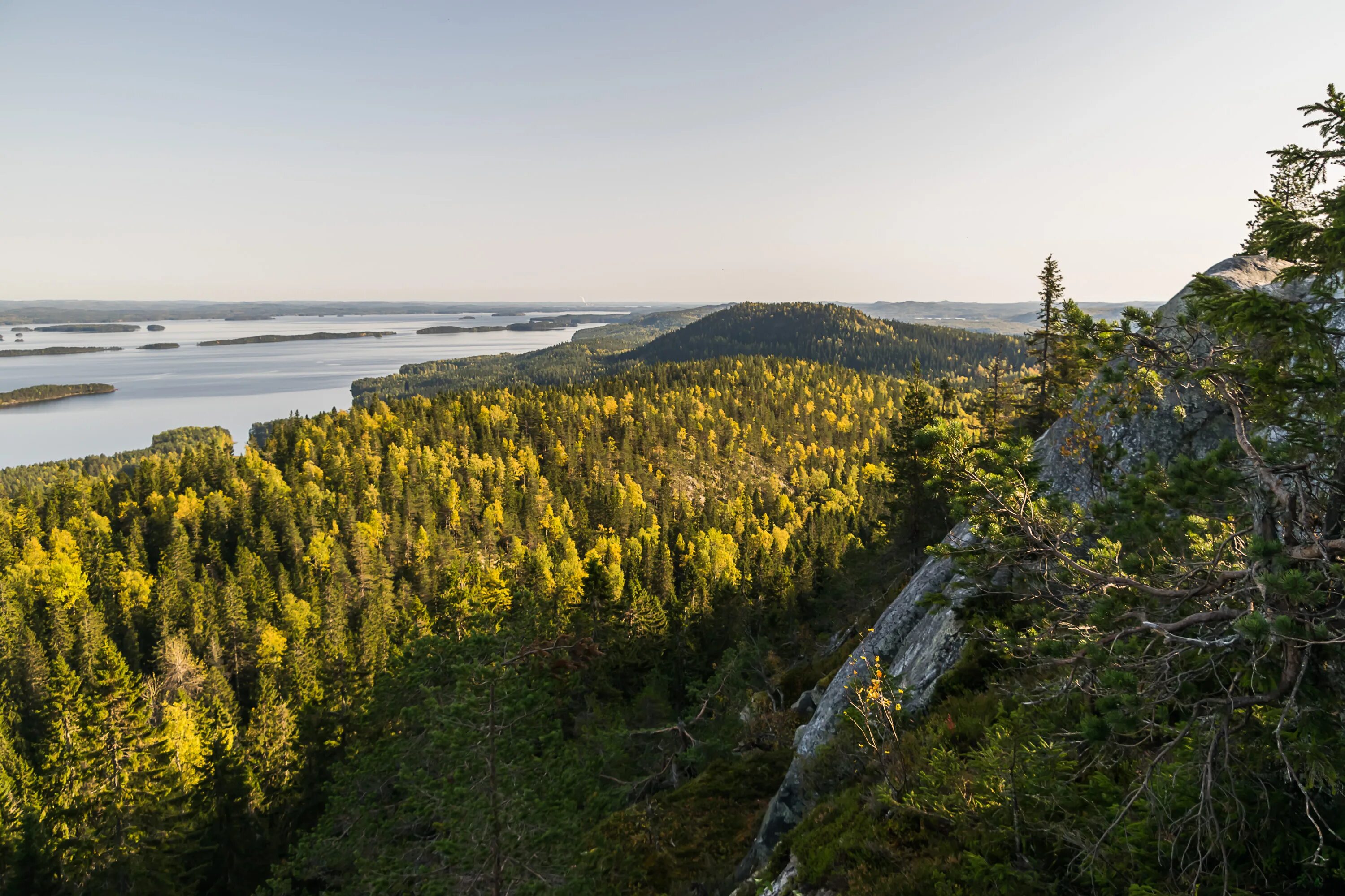 Карелия входит в россию. Карелия Финляндия. Растения Укко. Finnish Karelia. Карелия энциклопедия.