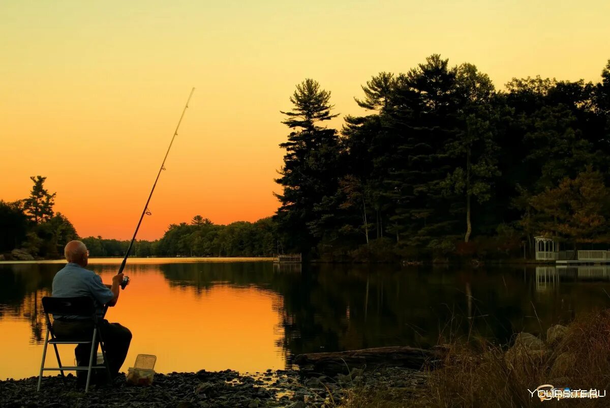 Время года ловли. Природа рыбалка. Летняя рыбалка. Рыбалка вечером. Рыбалка на зорьке.