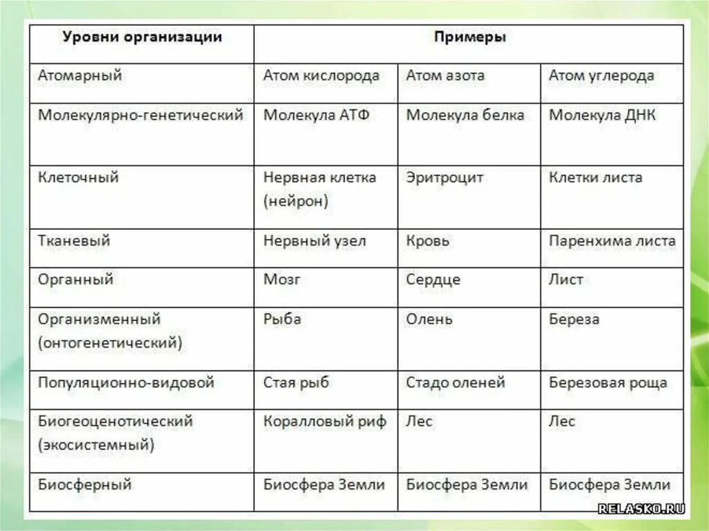 Уровень организмов живой природы. Таблица по биологии уровни организации живых систем. Таблица по биологии уровни организации биологическая система. Уровни организации биологических систем таблица. Уровни организации живого ЕГЭ биология таблица.