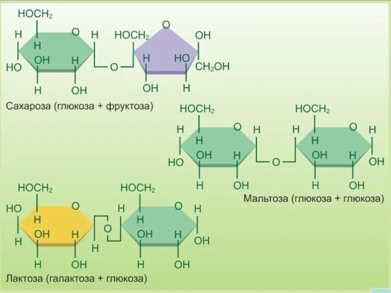 Состав глюкозы и фруктозы. Глюкоза фруктоза сахароза формулы. Глюкоза лактоза мальтоза Целлюлоза. Углеводы Глюкоза, лактоза , фруктоза. Формула Глюкозы и сахарозы.