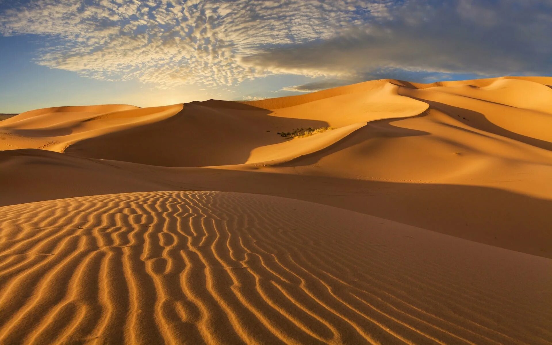 Гоби это пустыня. Монголия Гоби. Пустыня Гоби климат. Пустыня Гоби ландшафты. Пески пустыни Гоби.