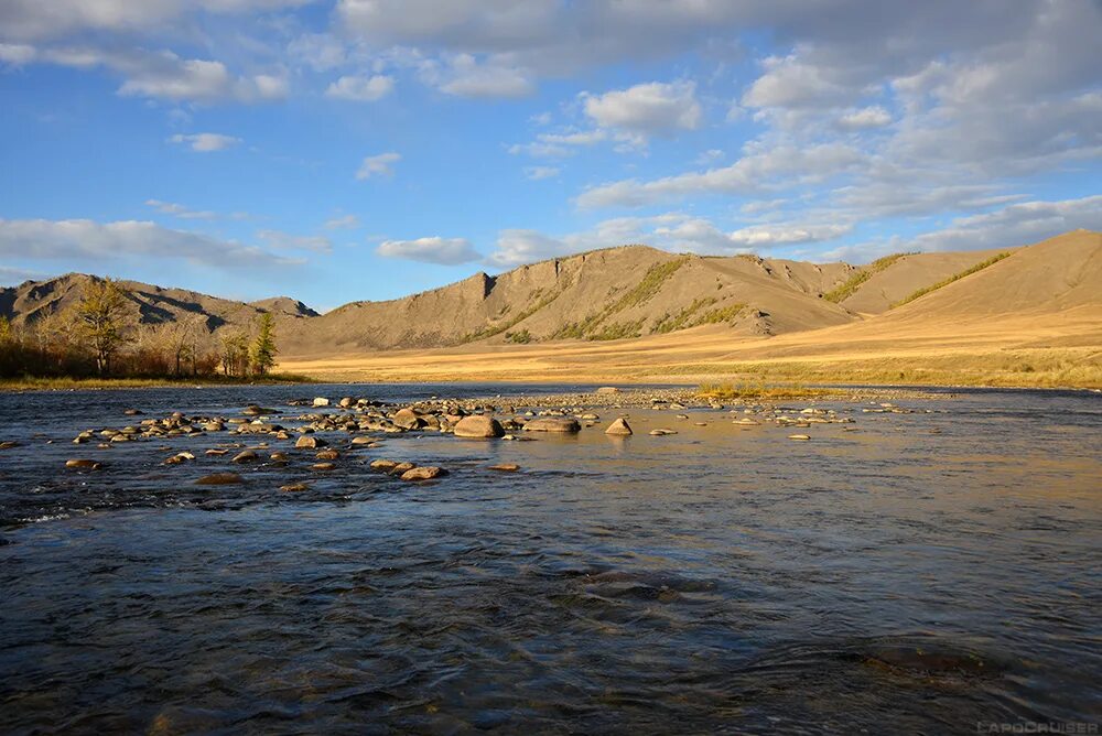 река в карпатах 4 буквы. река олт и карпаты. горная река карпаты. фото реки черемош карпаты. карпаты яремче достопримечательности.