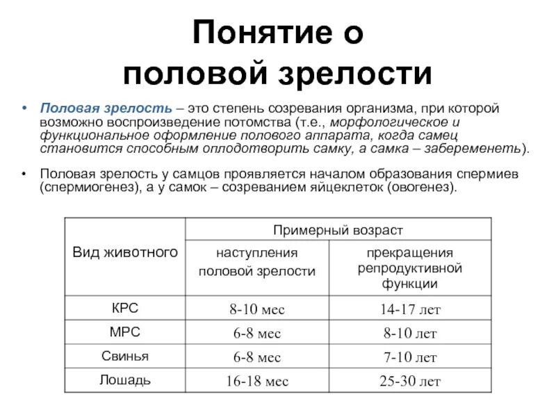 Во сколько лет кончаются. Половая зрелость. Этапы полового развития мальчика. Понятие о половом созревании. Стадии и сроки полового созревания.