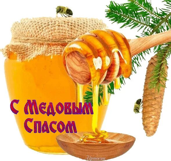 Медовый спас. С медовым Спасом. Медовый спас гиф. С медовым Спасом юмор. 14 августа месяц