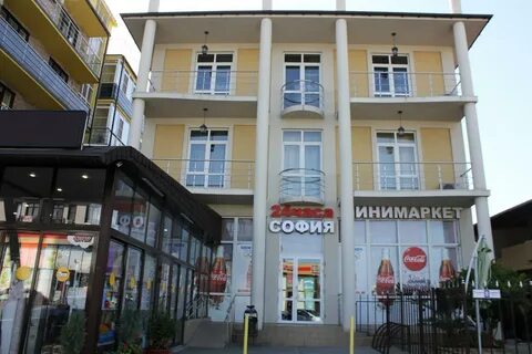 Розы адлер