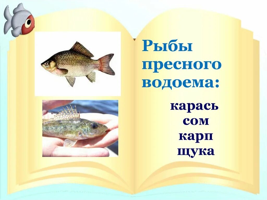 Рыбы пресных и соленых водоемов 1 класс