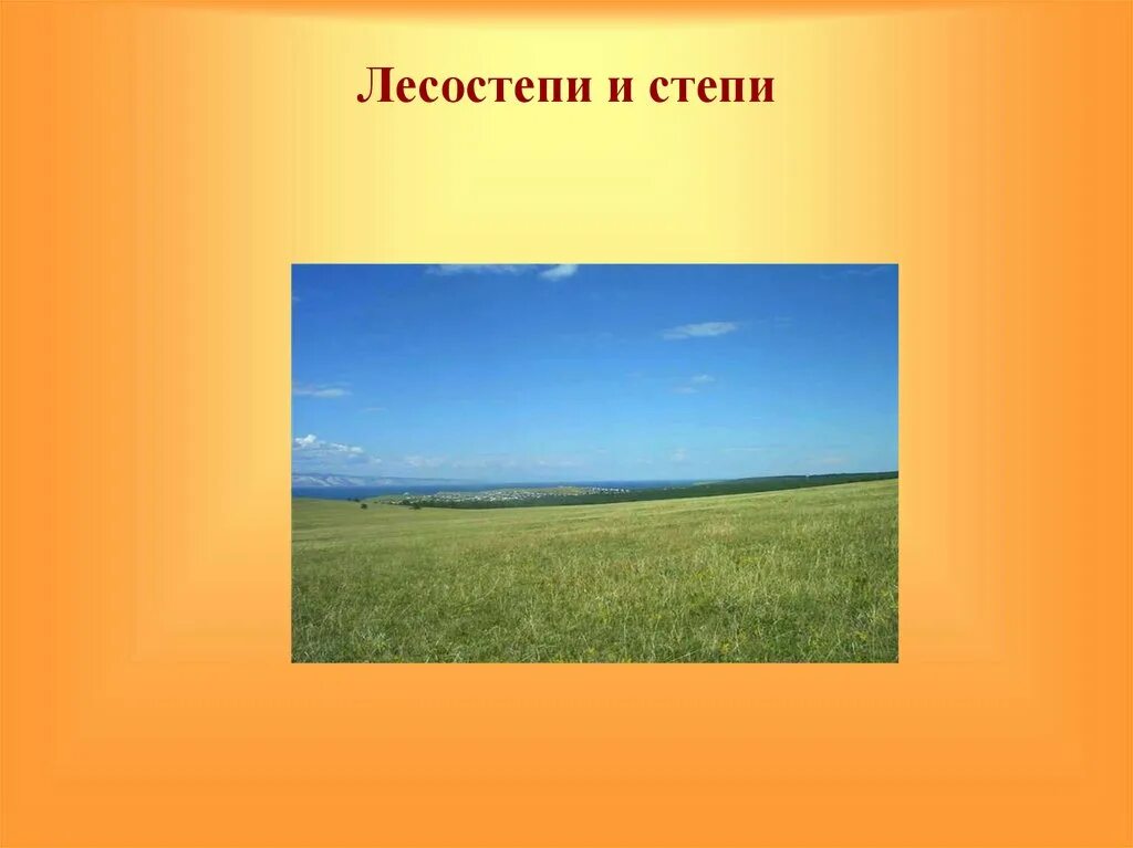 Какие природные зоны есть в степи