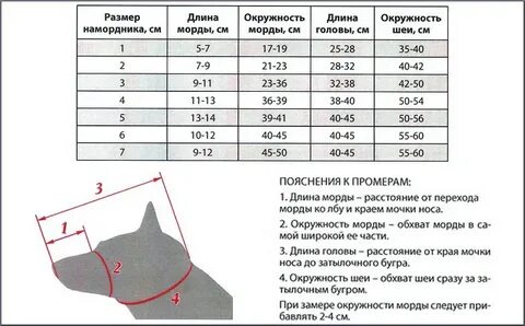 Как подобрать собаке намордник без примерки