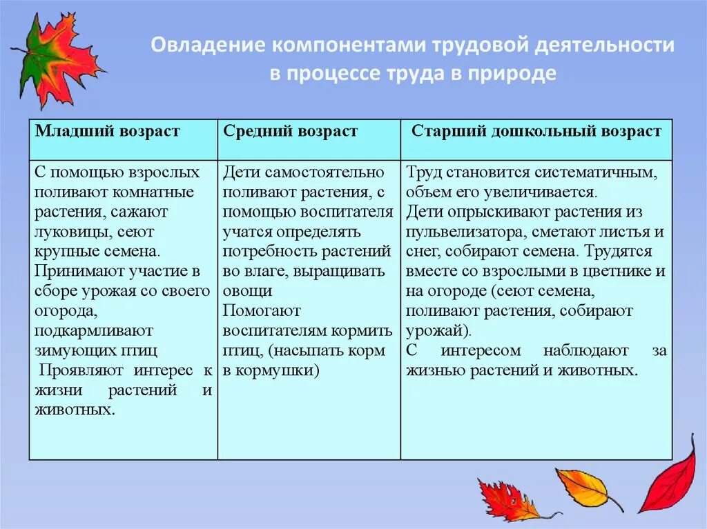 Возраст дошкольников по группам