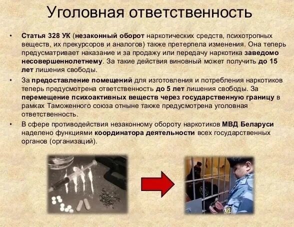 Профилактика уголовной ответственности