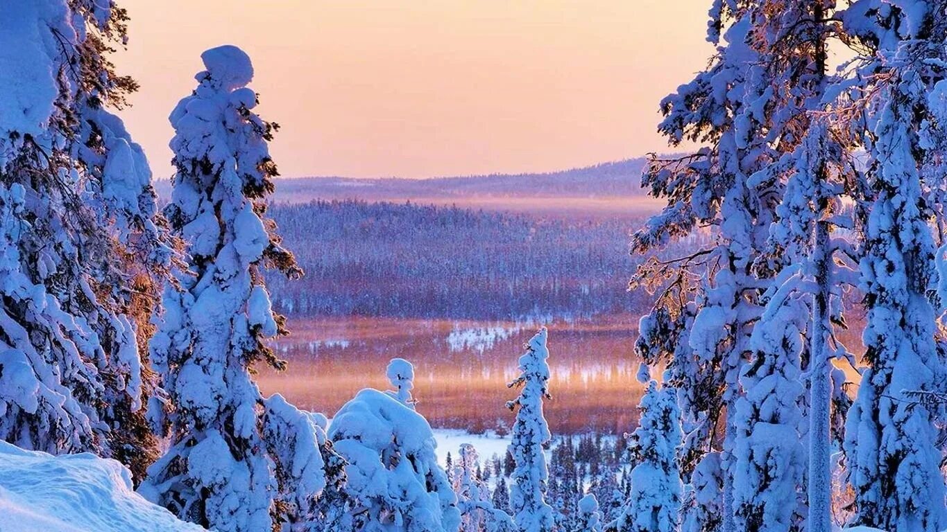 Финляндия январь. Национальный парк Паанаярви зимой. Карелия понаярови зима. Национальный парк Паанаярви Северное сияние. Карелия зима в Карелии.