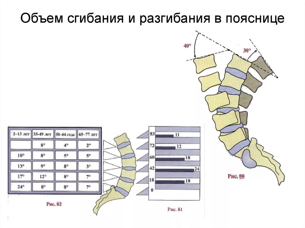 Биомеханика поясничного отдела позвоночника. Флексия и экстензия позвонка. Движения в поясничном отделе позвоночника. Движение в позвоночника нормы. Движения поясничного отдела позвоночника