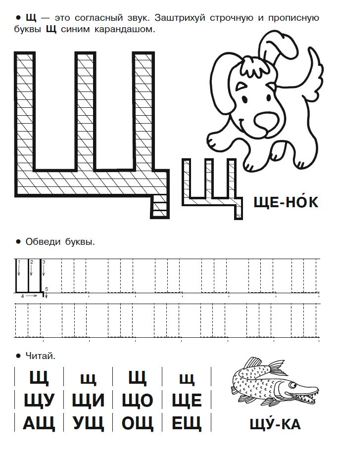 Учим букву щ задания для дошкольников. Буква щ пропись для дошкольников. Задания для изучения буквы щ для дошкольников. Задания для детей буква щ для дошкольников. Слова с ш и щ
