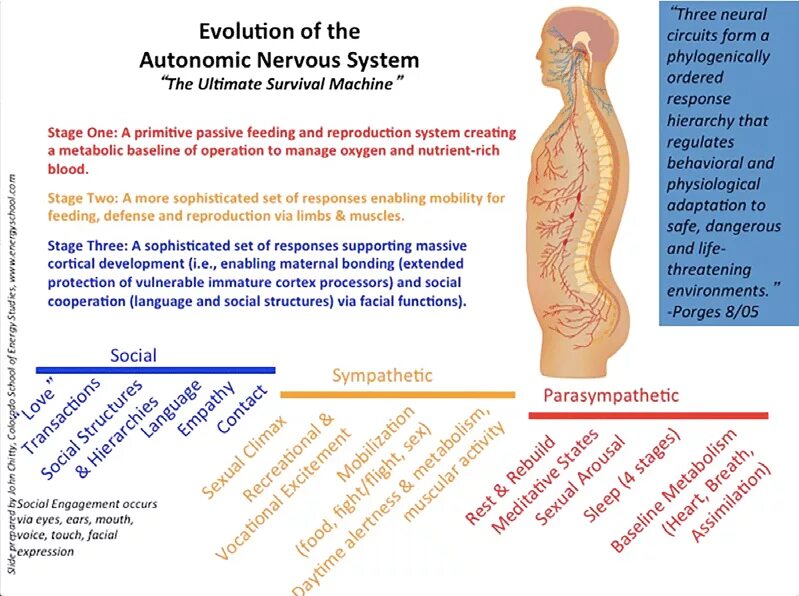 Physiological response