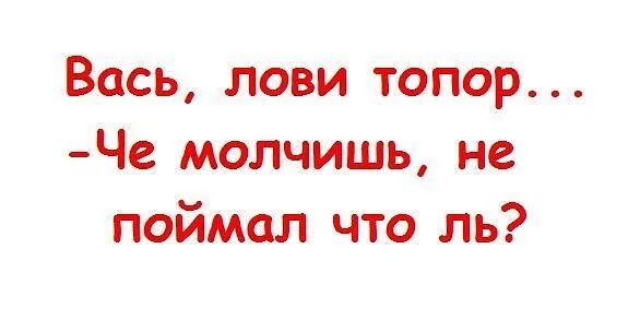 Лови лови 23. Вася лови топор. Лови топор поймал. Лови топор че молчишь. Лови топор прикол.