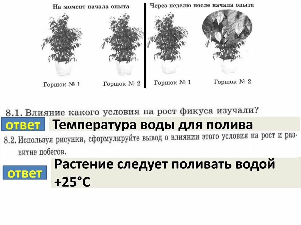 Октябрь удивительный месяц впр 6 класс