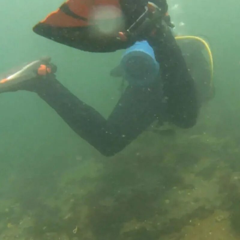 Плавать в мутной воде. Плыть в мутном озере. сон плыть в грязной воде. плыть в мутной воде сон. мама плавает в море.