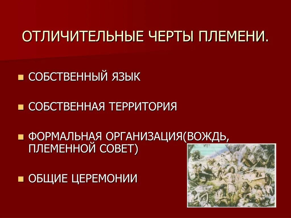 Собственная территория. Отличительная черта племени. Племя основные черты. Характерные черты племени. Отличительные особенности племени.