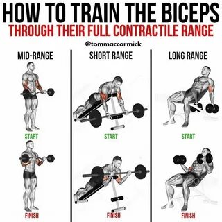 Complete Biceps Training - Love this post by @tommaccormick - To fully stim...
