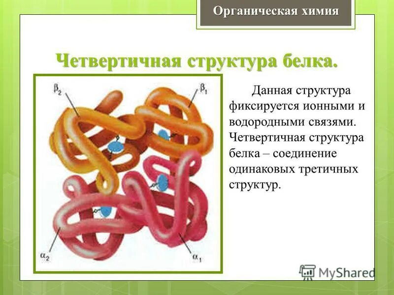 Состав природных белков